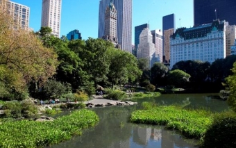La Nuova Manhattan